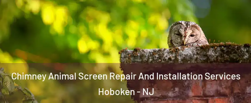  Chimney Animal Screen Repair And Installation Services Hoboken - NJ