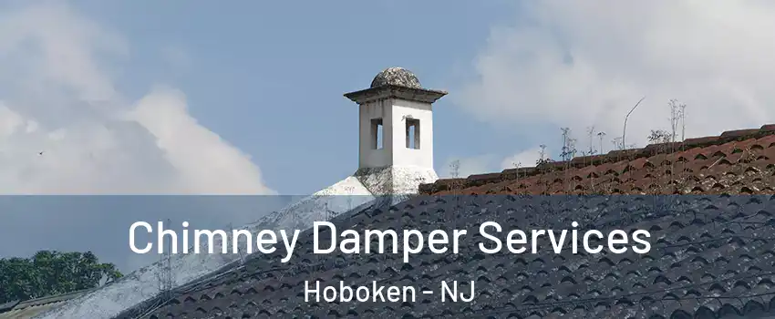  Chimney Damper Services Hoboken - NJ