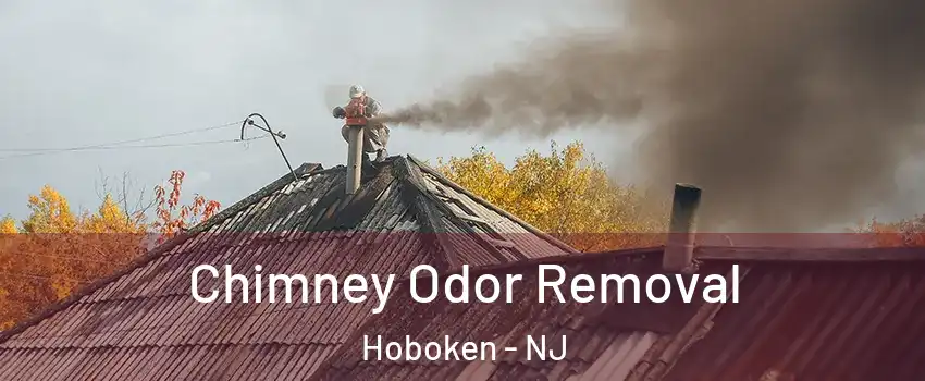  Chimney Odor Removal Hoboken - NJ