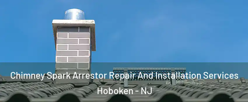  Chimney Spark Arrestor Repair And Installation Services Hoboken - NJ