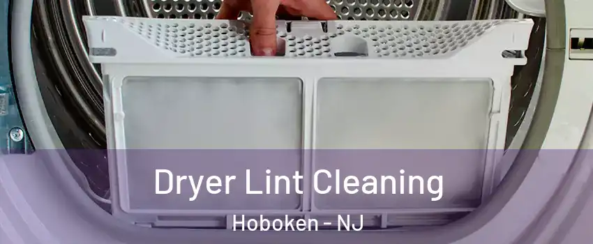  Dryer Lint Cleaning Hoboken - NJ