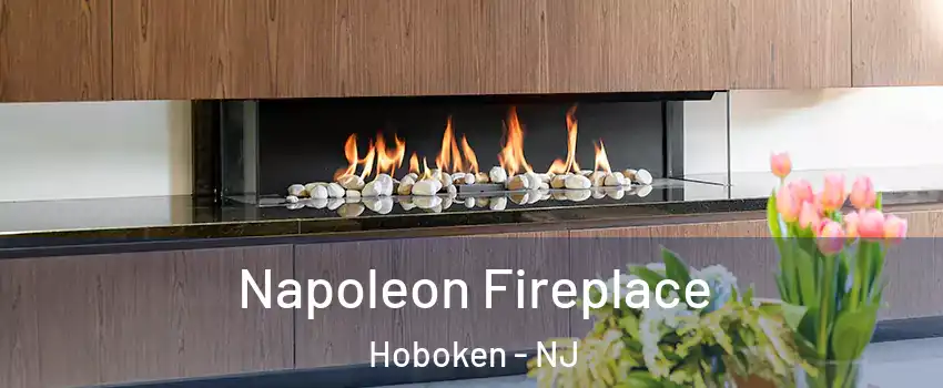  Napoleon Fireplace Hoboken - NJ